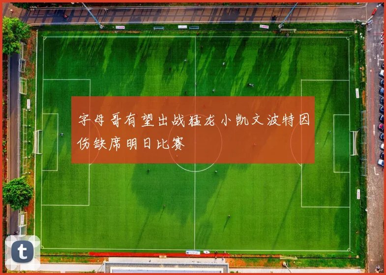 字母哥有望出战猛龙小凯文波特因伤缺席明日比赛