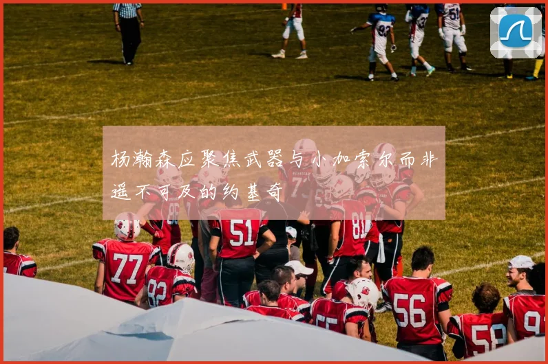 杨瀚森应聚焦武器与小加索尔而非遥不可及的约基奇