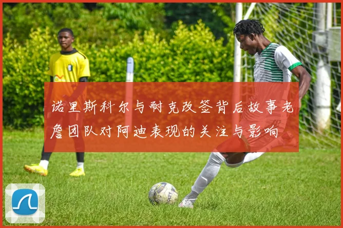 诺里斯科尔与耐克改签背后故事老詹团队对阿迪表现的关注与影响